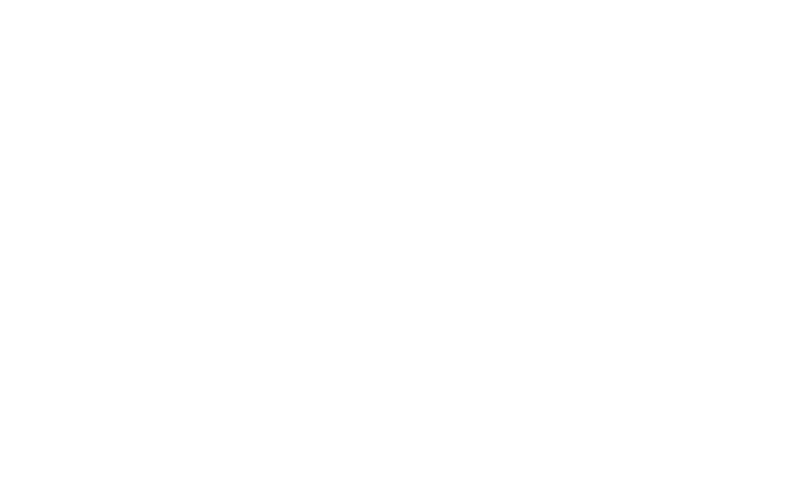 section-background